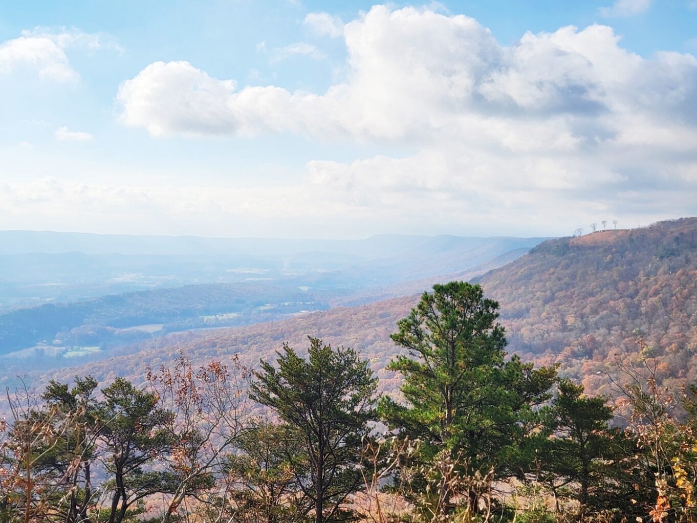 야외, 구름, 경치, 산, 나무, 하늘, 황야, 하이랜드, 자연, 지중해성 관목지대, 국립 공원, 언덕, 초목, 숲, 힐 스테이션, 지형, 식물