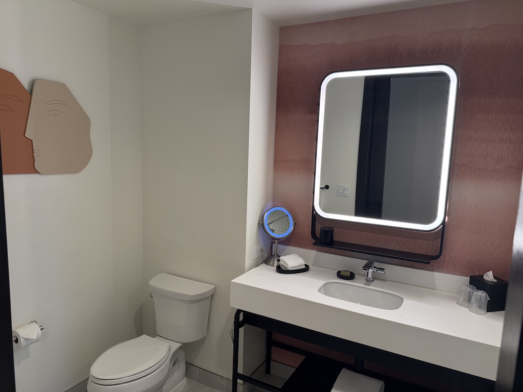 벽, 실내, 욕실, 욕실 액세서리, 배관 설비, 싱크대, 화장실, 수도꼭지, 거울, 호텔