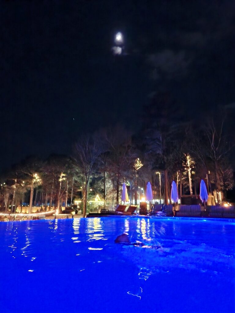 야외, 달, 하늘, 밤, 나무, 물, 월광