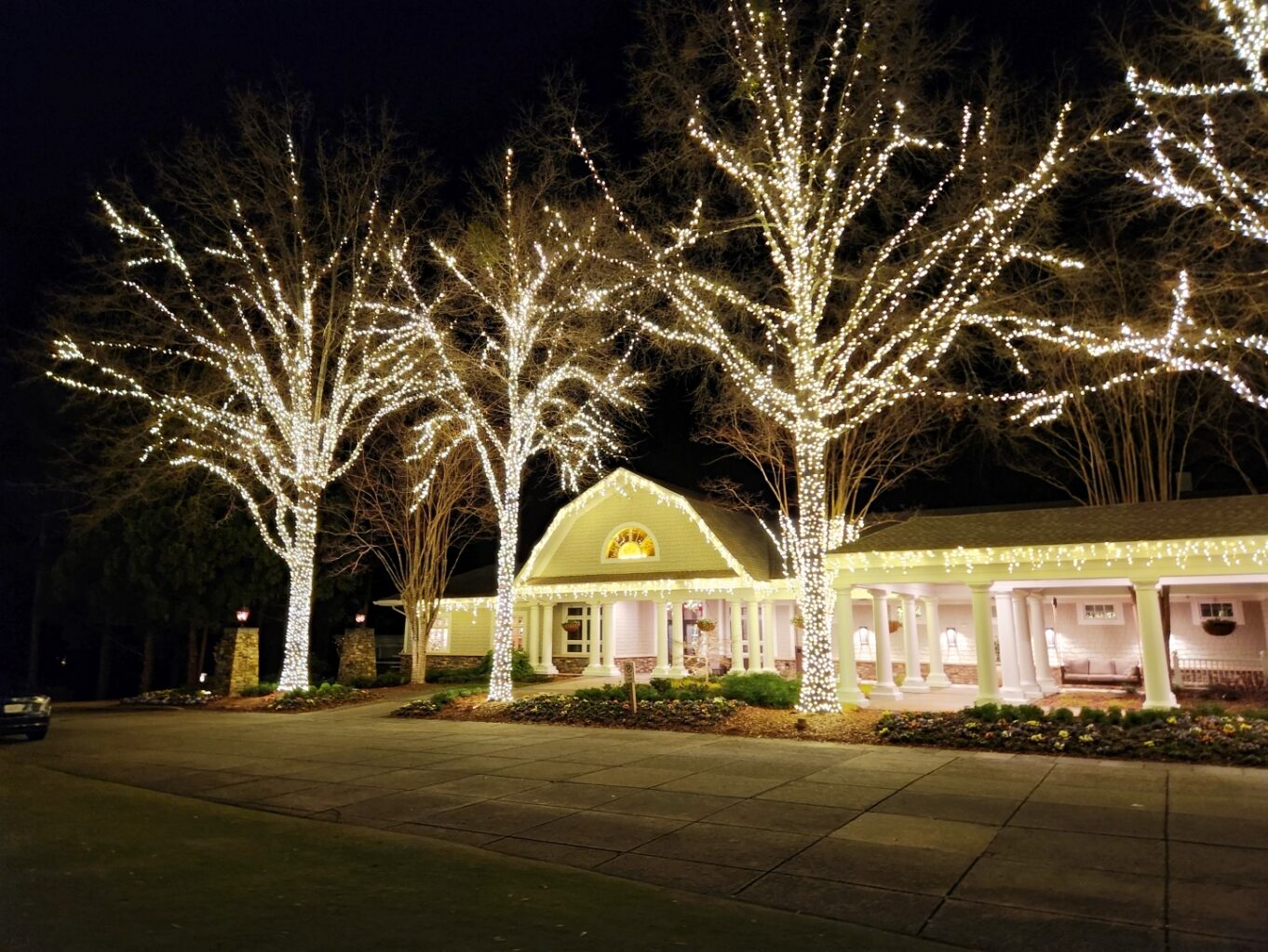 야외, 건물, 나무, 식물, 조경 조명, 하늘, 조명, 잔디, 빛, 밤, 크리스마스, 거리