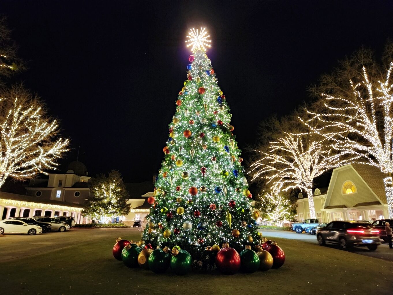 크리스마스 트리, 나무, 크리스마스 장식, 크리스마스 조명, 크리스마스 이브, 야외, 푸른가문비나무, 가문비나무속, 육상 차량, 휴일, 크리스마스, 빛, 거리