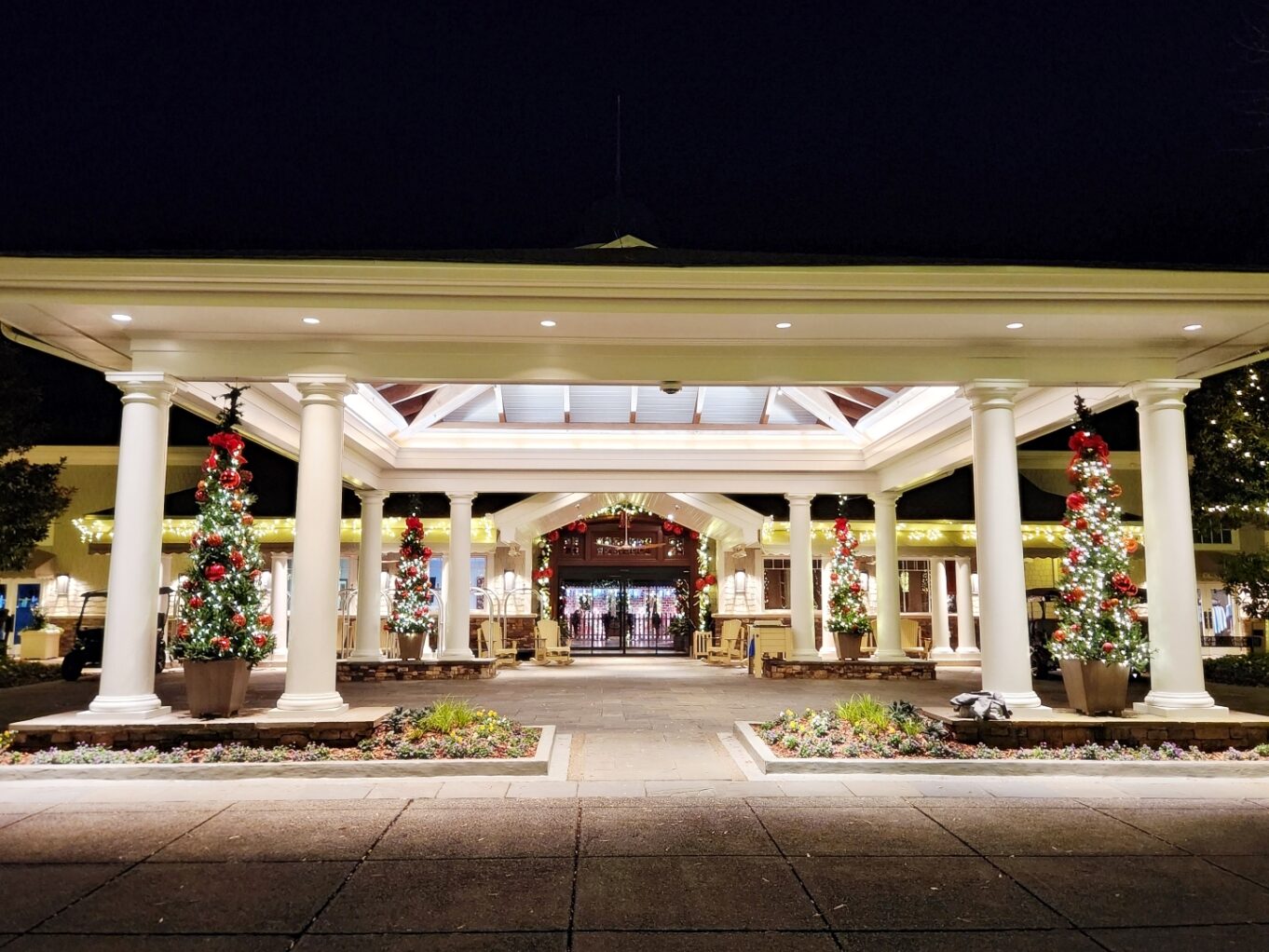 건물, 천장, 식물, 화분, 실내용 화초, 기둥, 밤, 야외, 지상, 꽃