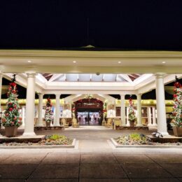 건물, 천장, 식물, 화분, 실내용 화초, 기둥, 밤, 야외, 지상, 꽃