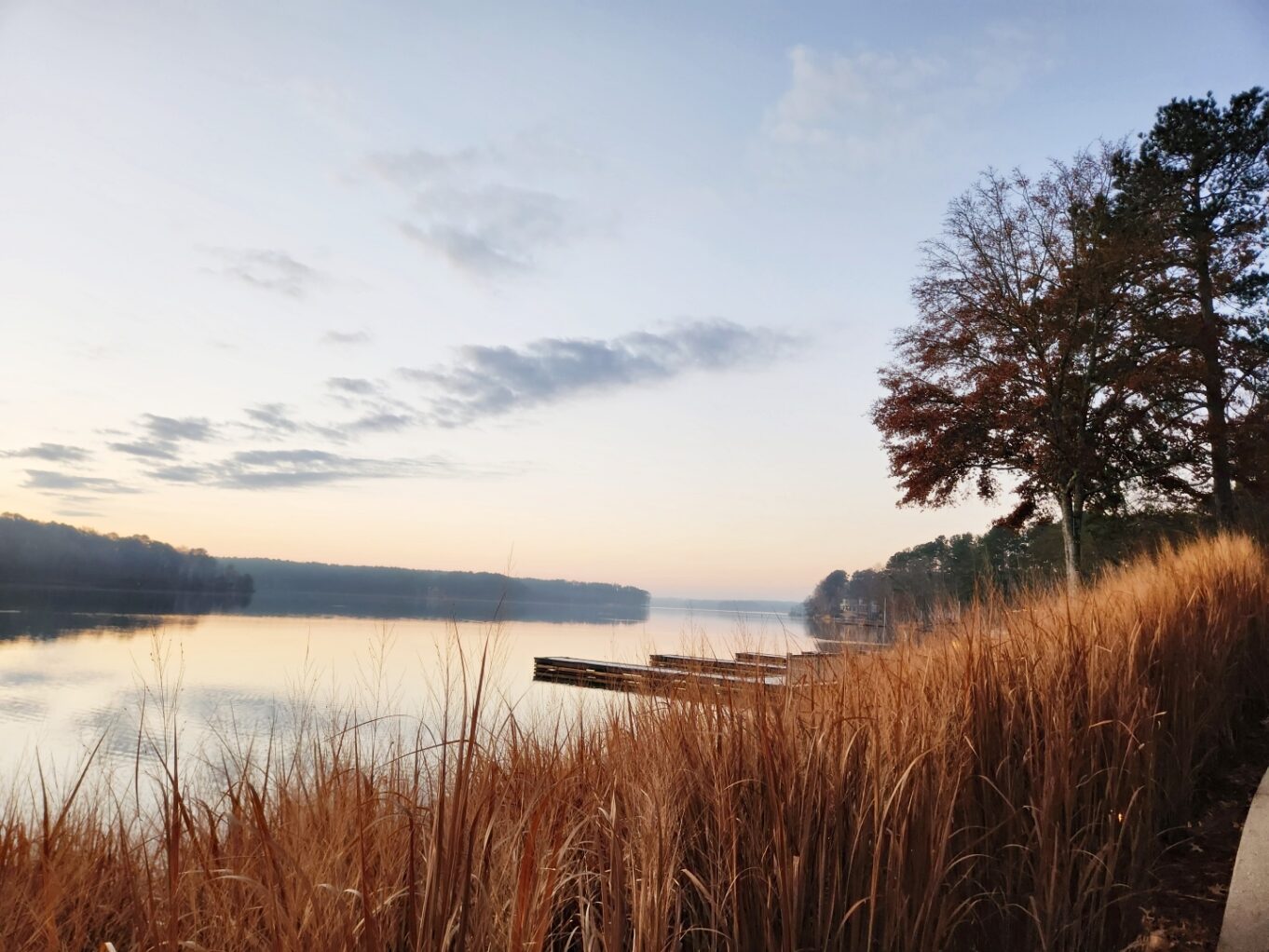 야외, 경치, 나무, 하늘, 잔디, 물, 구름, 자연 경관, 호수, 아침, 저수지, 은행, 가을, 해안, 식물, 자연, 일몰