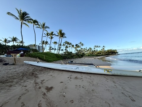 야외, 하늘, 나무, 해변, 야자수, 서핑, 열대, 지상, 보트, 카리브해, 물, 서핑보드, 종려목, 해안, 모래가 있는, 모래, 대양