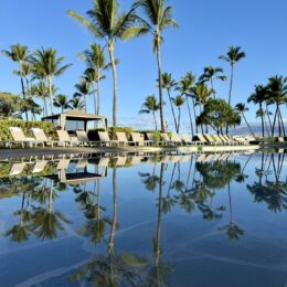 야외, 야자수, 하늘, 물, 종려목, 식물, 호수, 나무, 야자과, 바바수종려나무, 엘라에이스, 열대, 대왕야자속, 대추야자, 반사, 해변, 자연, 경치, 해안, 휴가