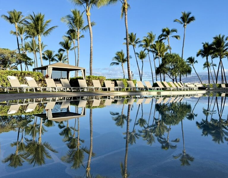 야외, 야자수, 하늘, 물, 종려목, 식물, 호수, 나무, 야자과, 바바수종려나무, 엘라에이스, 열대, 대왕야자속, 대추야자, 반사, 해변, 자연, 경치, 해안, 휴가