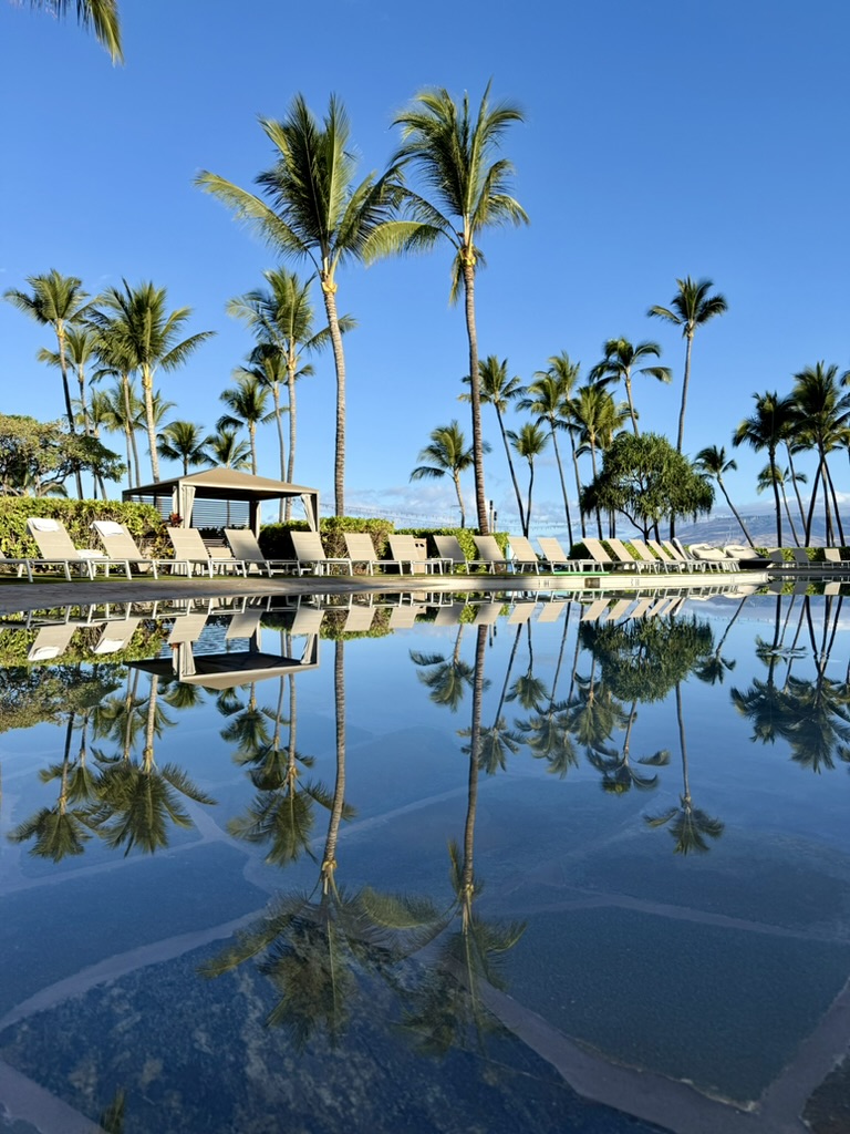 야외, 야자수, 하늘, 물, 종려목, 식물, 호수, 나무, 야자과, 바바수종려나무, 엘라에이스, 열대, 대왕야자속, 대추야자, 반사, 해변, 자연, 경치, 해안, 휴가