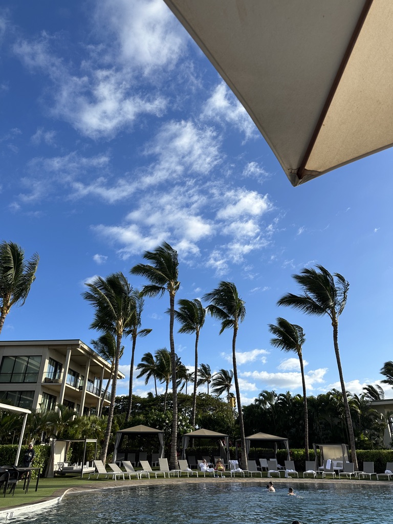 야외, 구름, 나무, 야자수, 하늘, 종려목, 리조트, 바바수종려나무, 수영장, 그늘, 엘라에이스, 열대, 대추야자, 리조트 타운, 물, 해변, 휴가, 야자과, 포켓볼, 식물