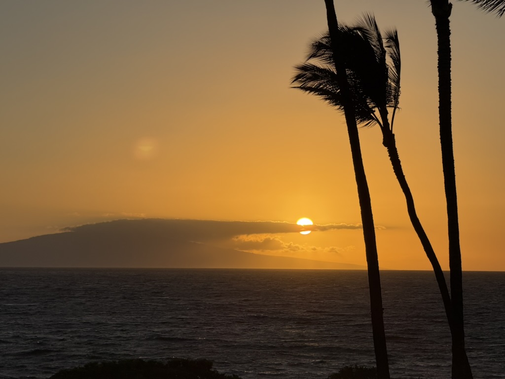 야외, 하늘, 식물, 물, 야자수, 열대, 종려목, 고요한, 야자과, 수평선, 나무, 해돋이, 해변, 일몰, 경치, 자연, 태양, 대양