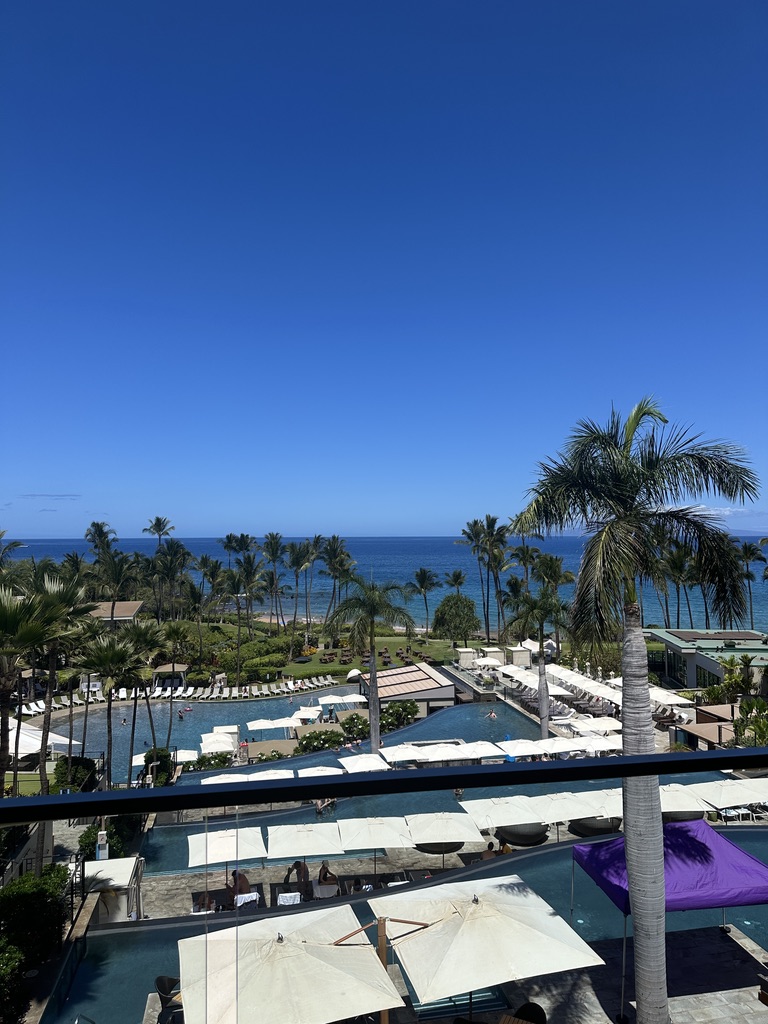 야외, 나무, 야자수, 하늘, 리조트, 종려목, 그늘, 해변 리조트, 수영장, 리조트 타운, 건물, 해변, 휴가