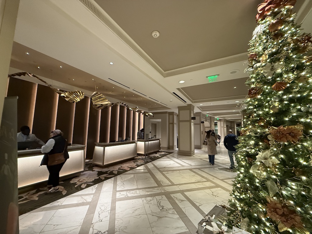 크리스마스 트리, 크리스마스, 인테리어 디자인, 실내, 천장, 크리스마스 장식, 벽, 사람, 나무, 바닥, 겨울