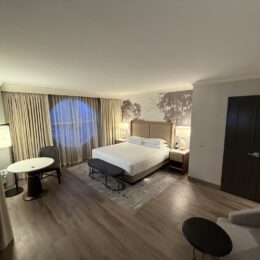 실내, 벽, 인테리어 디자인, 방, 가구, 장면, 바닥, 호텔, 베개, 침대시트, 매트리스, 침구, 바닥재, 커튼, 창문 장식, 리넨, 침대 프레임, 이불 커버, 창 커버, 침실, 스위트, 천장, 침실용 탁자, 침대, 쿠션, 집, 부티크 호텔, 래미네이트 바닥