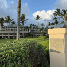 야외, 구름, 하늘, 야자수, 잔디, 나무, 종려목, 식물, 야자과, 사람, 공원, 스탠딩, 휴가