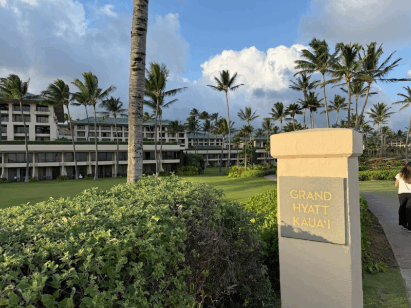 야외, 구름, 하늘, 야자수, 잔디, 나무, 종려목, 식물, 야자과, 사람, 공원, 스탠딩, 휴가