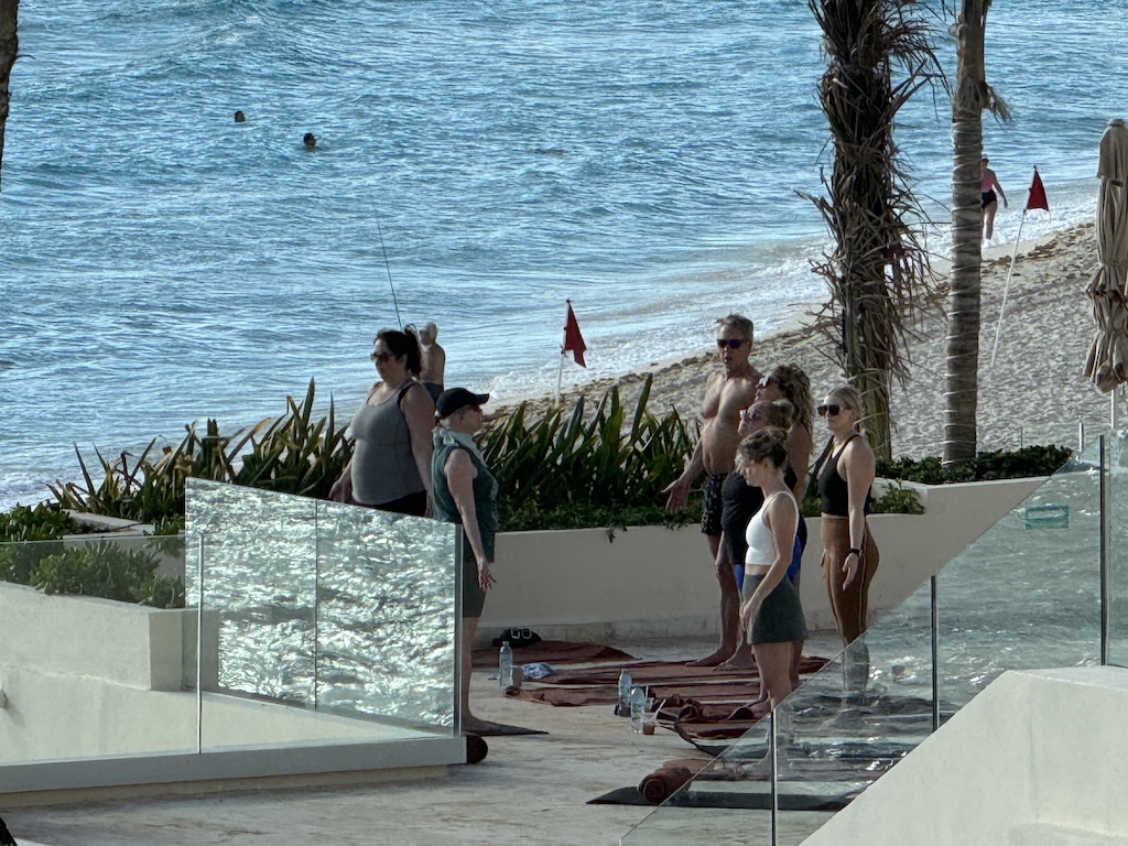 야외, 의류, 물, 나무, 사람, 신발류, 해변, 지상, 사람들, 스탠딩