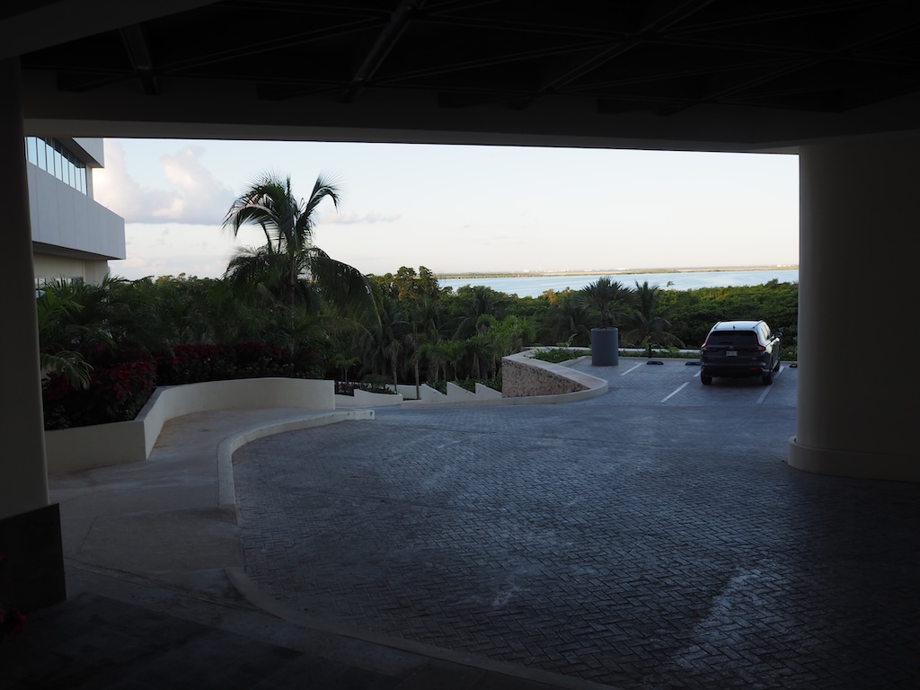 나무, 하늘, 야외, 야자수, 자동차, 지상, 그늘, 식물, 육상 차량, 차량, 휴가