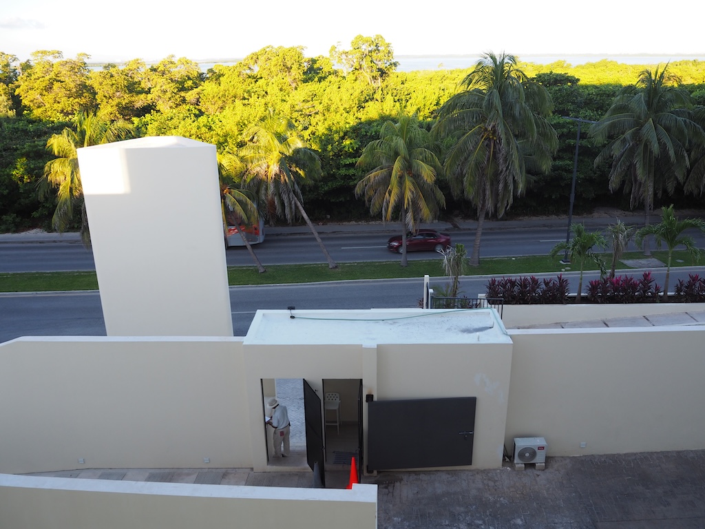 야외, 나무, 식물, 하늘, 시멘트