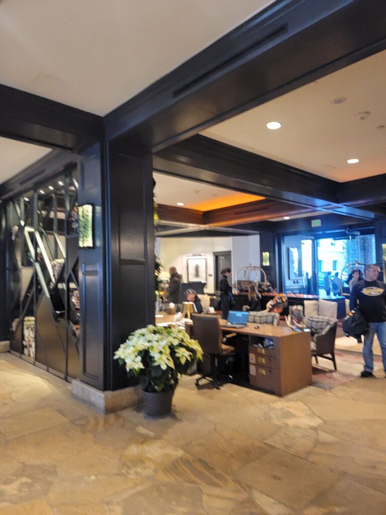 천장, 실내, 실내용 화초, 로비, 의류, 꽃병, 신발류, 테이블, 바닥, 벽, 사람, 사람들