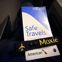 텍스트, 브랜드, 로고, 스크린샷, 실내, 자동차