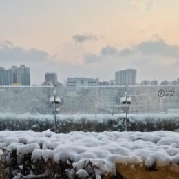 야외, 눈, 구름, 하늘, 결빙의, 강수, 자연, 물, 겨울, 시티, 덮은, 콜드