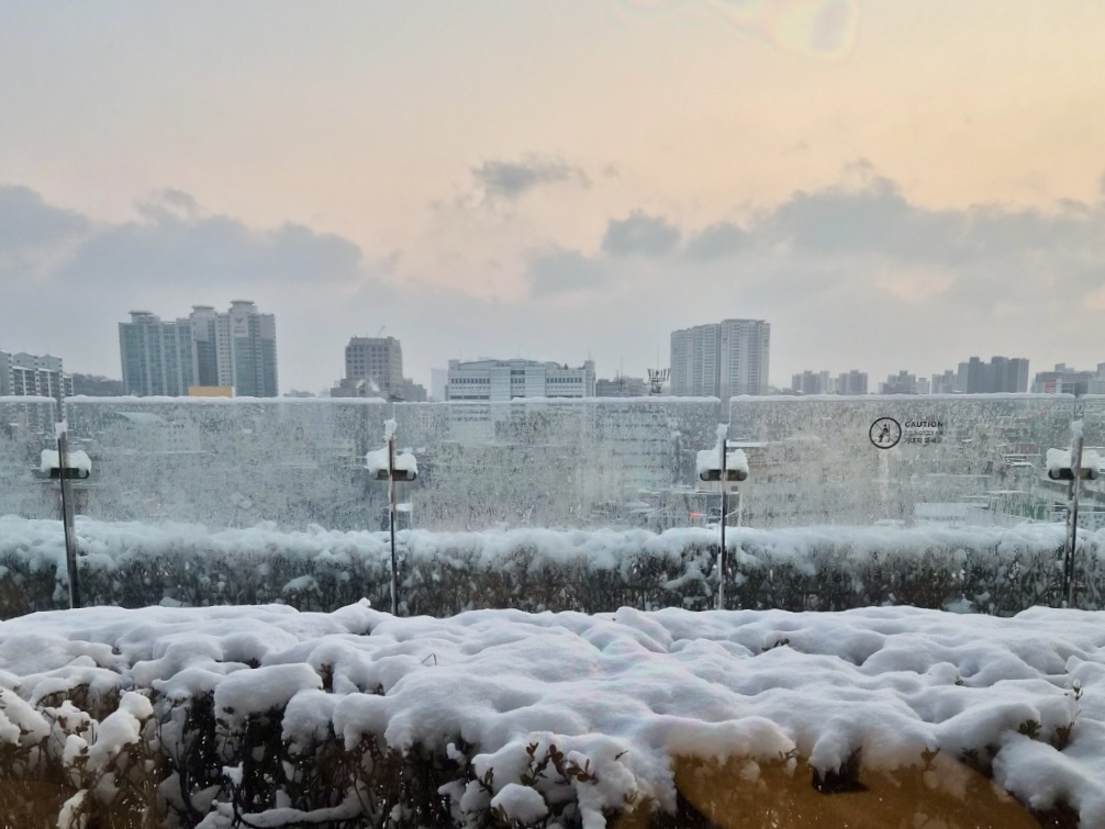 야외, 눈, 구름, 하늘, 결빙의, 강수, 자연, 물, 겨울, 시티, 덮은, 콜드