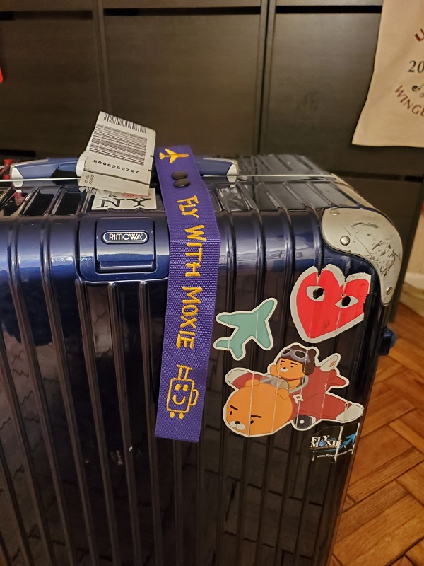 luggage2.jpg