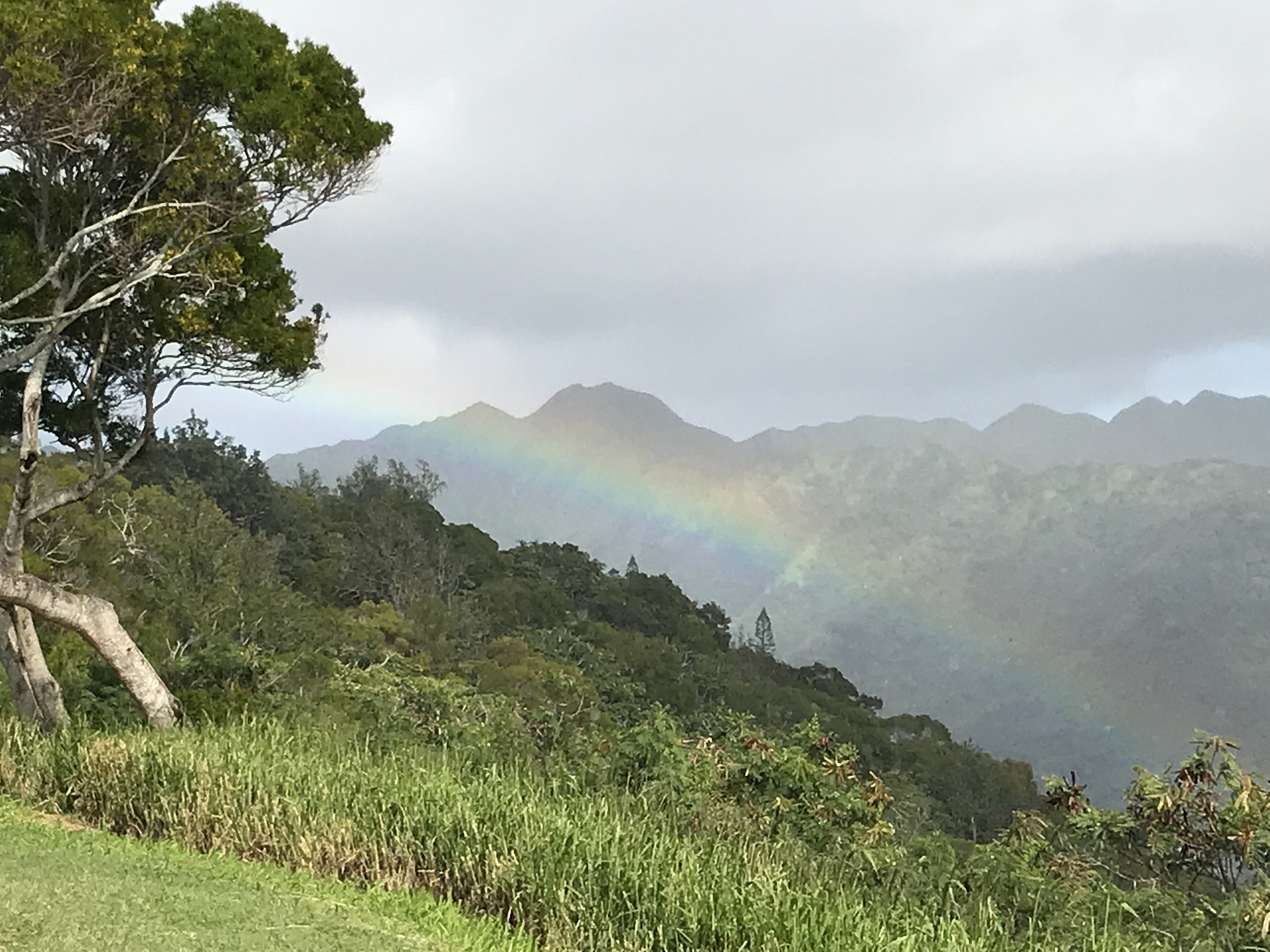 view at tantalus with rainbow.jpg